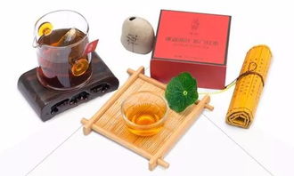 茶韻新篇，共繪未來(lái) 上海唐卡茶鐏國(guó)茶研究院戰(zhàn)略合作，誠(chéng)邀經(jīng)銷商攜手同行